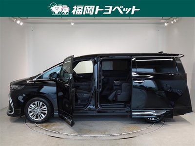 2024 Toyota ALPHARD 照片 20
