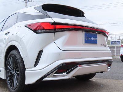 2024 Lexus RX 照片 47