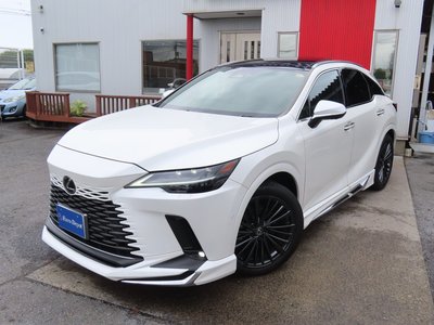 2024 Lexus RX 照片 82