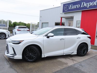 2024 Lexus RX 照片 26