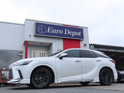 2024 Lexus RX 照片 10