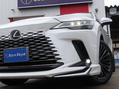 2024 Lexus RX 照片 24