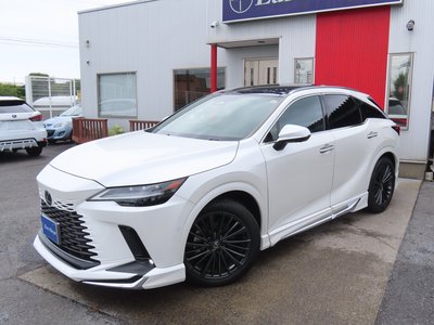 2024 Lexus RX 照片 27