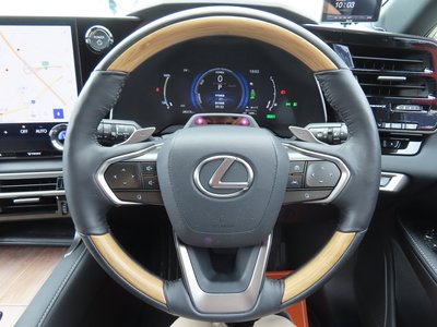2024 Lexus RX 照片 65