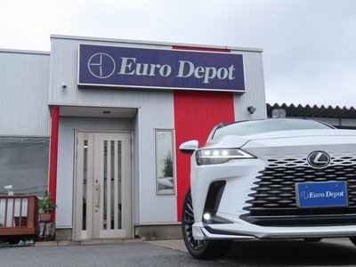 2024 Lexus RX 照片 33