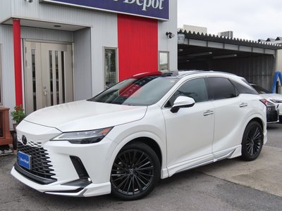 2024 Lexus RX 照片 2