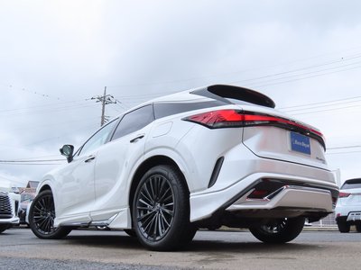 2024 Lexus RX 照片 45