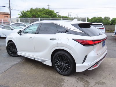 2024 Lexus RX 照片 8