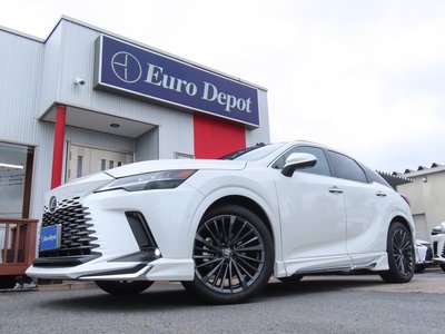 2024 Lexus RX 照片 22