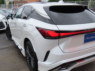2024 Lexus RX 照片 44