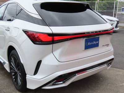 2024 Lexus RX 照片 46