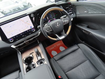 2024 Lexus RX 照片 52