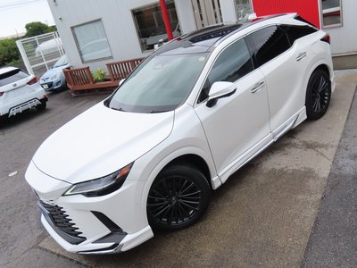 2024 Lexus RX 照片 3