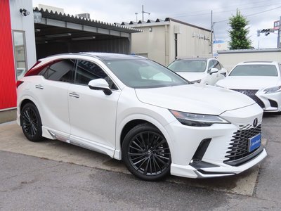 2024 Lexus RX 照片 29