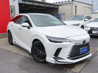 2024 Lexus RX 照片 30