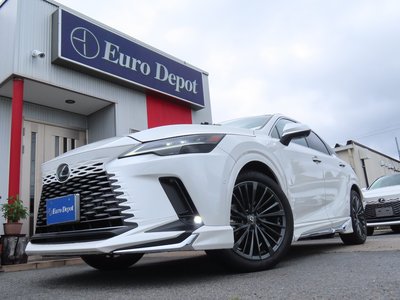 2024 Lexus RX 照片 23