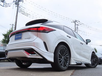 2024 Lexus RX 照片 36