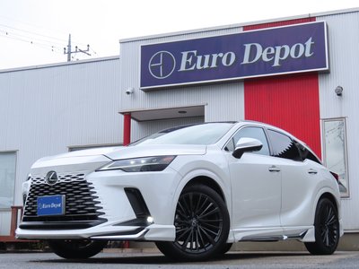 2024 Lexus RX 照片 1