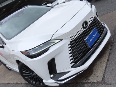 2024 Lexus RX 照片 31