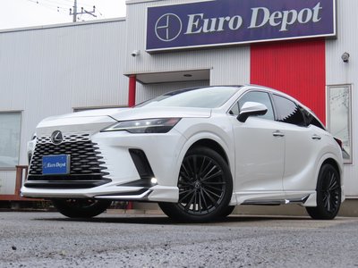 2024 Lexus RX 照片 21