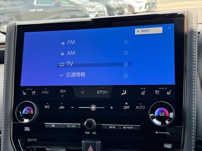 2025 Toyota ALPHARD — фото 57