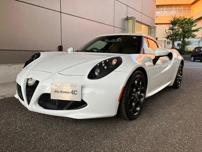 2015 ALFA Romeo 4C — фото 13