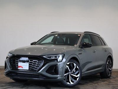 2024 AUDI Q8 E-TRON photo 1