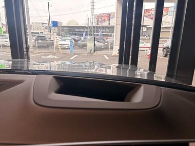 2025 BMW X7 thumbnail 19