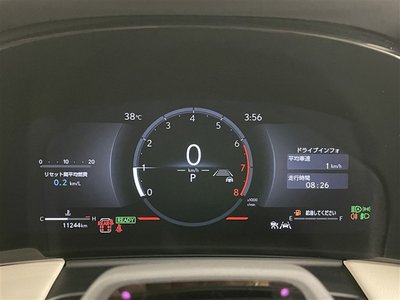 2025 Lexus LM photo 16