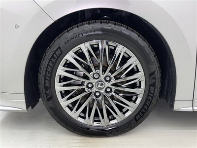 2025 Lexus LM photo 10