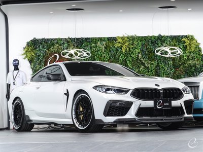 2020 BMW M8 照片 17
