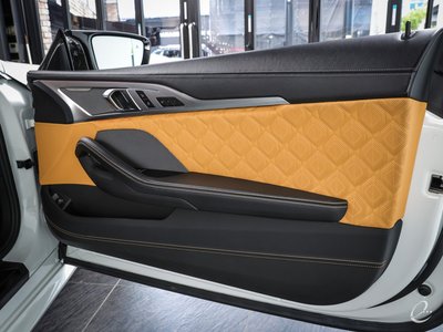 2020 BMW M8 照片 78