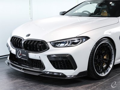 2020 BMW M8 照片 46