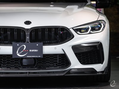 2020 BMW M8 照片 42