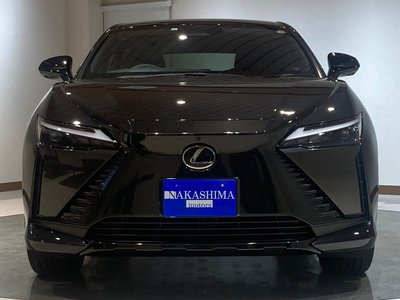 2023 Lexus RZ — фото 5