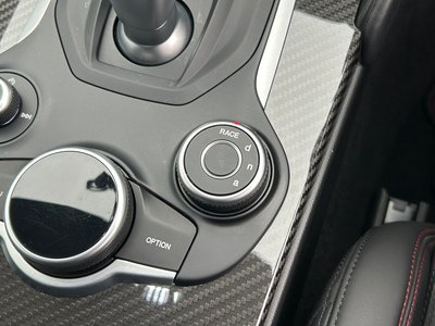 2019 ALFA Romeo JULIA 缩略图 47