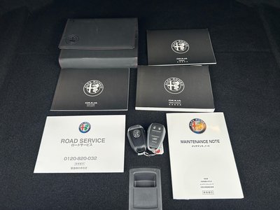 2019 ALFA Romeo JULIA 缩略图 69