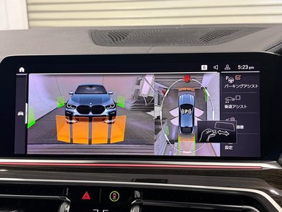 2020 BMW X6 — миниатюра 39