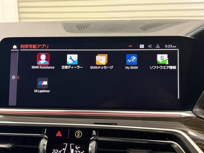 2020 BMW X6 — миниатюра 37