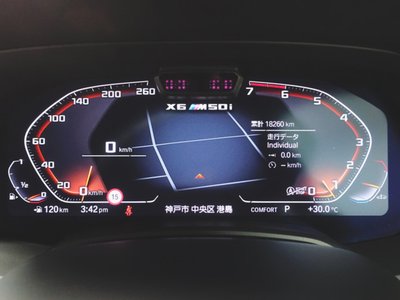 2021 BMW X6 photo 14