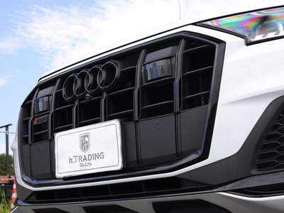 2024 AUDI SQ7 照片 11