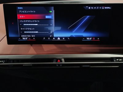 2025 BMW IX — миниатюра 36