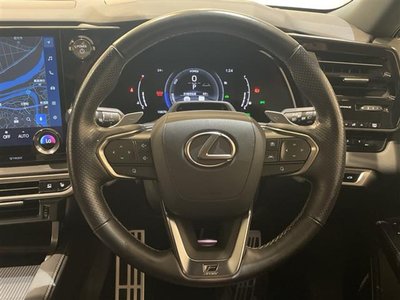 2023 Lexus RX photo 7