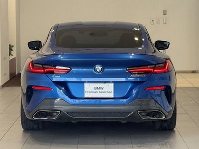 2019 BMW 8 SERIES 照片 11