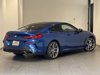 2019 BMW 8 SERIES 照片 3