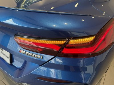 2019 BMW 8 SERIES 照片 16