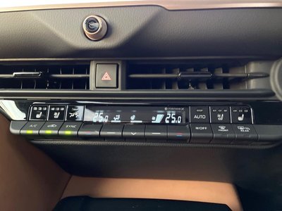 2025 Toyota CROWN SPORT thumbnail 47