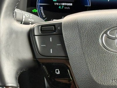 2024 Toyota ALPHARD thumbnail 26