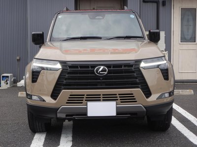2025 Lexus GX 缩略图 17