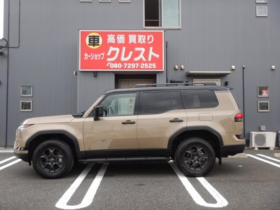 2025 Lexus GX 缩略图 75